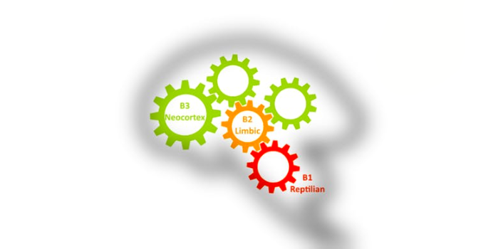 How to Make The Best Use of Your Brain